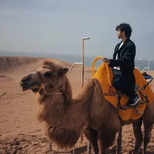 Fathy Rashad hobby - Travel